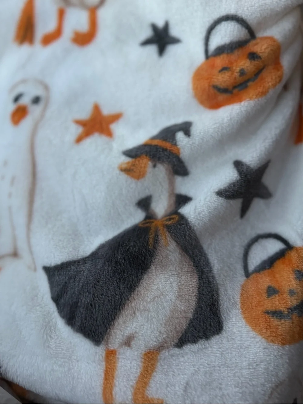 Halloween Goose Costume Ghost Witch Pumpkin Throw Blanket Cozy Seasonal Decor